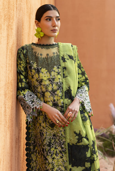 Parishay | Ivy Bloom 26 | IB-04 - by Libasekhas UK - Registered Vendor of : Parishay - 100% Original Designer Dress