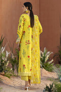 Parishay | Ivy Bloom 26 | IB-09 - by Libasekhas UK - Registered Vendor of : Parishay - 100% Original Designer Dress