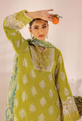Adans Libas | Chikankari 25 | 4776 - by - Libasekhas UK - Registered Vendor of : Adans Libas - 100% Original Designer Dresss