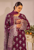 Adans Libas | Chikankari 25 | 4779 - by - Libasekhas UK - Registered Vendor of : Adans Libas - 100% Original Designer Dresss