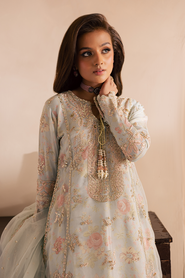 Emaan Adeel |Celine Pret |Arghawani - by Libasekhas UK - Registered Vendor of : Emaan Adeel - 100% Original Designer Dress