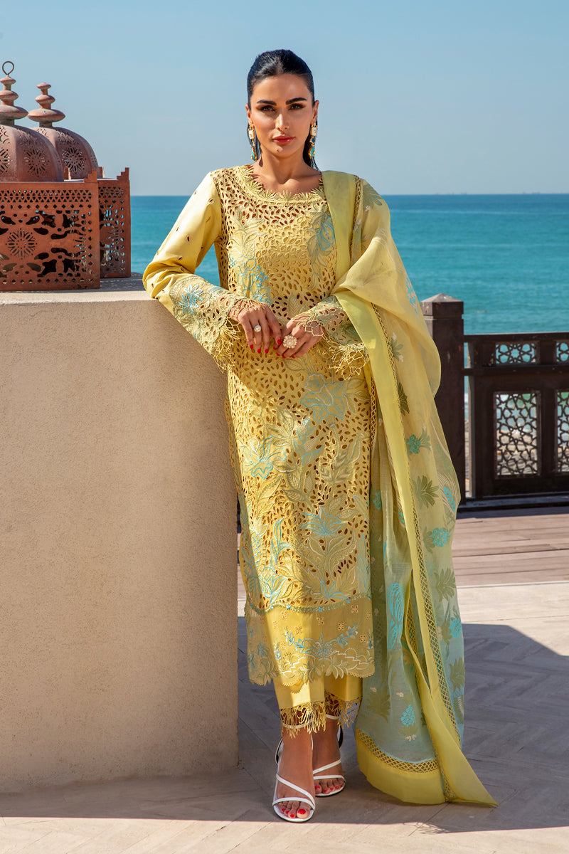 Rangrasiya | Premium Summer Lawn 25 | Minal - Ladies Clothes -  Libasekhas