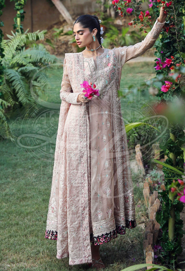 Layla Chatoor | Luxury Pret | Amani - by Libasekhas UK - Registered Vendor of : Layla Chatoor - 100% Original Designer Dress
