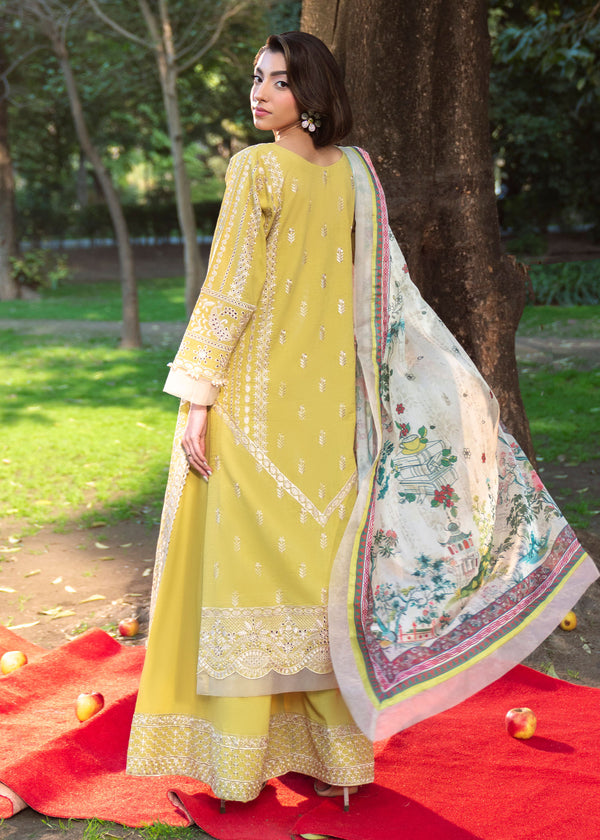 Haseens | Zuri Pret | Zarmehr - by Libasekhas UK - Registered Vendor of : Haseens - 100% Original Designer Dress
