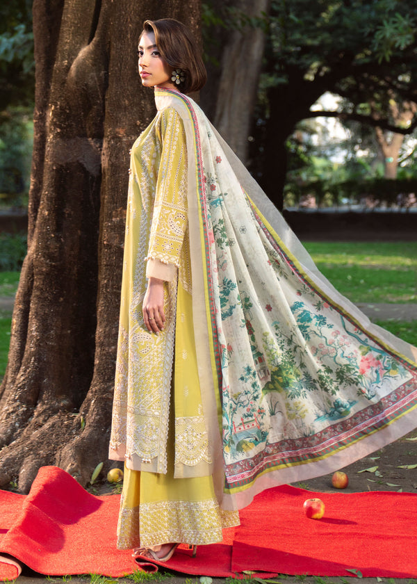 Haseens | Zuri Pret | Zarmehr - by Libasekhas UK - Registered Vendor of : Haseens - 100% Original Designer Dress