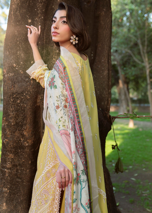 Haseens | Zuri Pret | Zarmehr - by Libasekhas UK - Registered Vendor of : Haseens - 100% Original Designer Dress