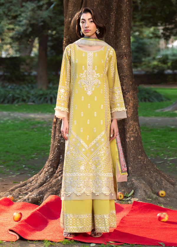 Haseens | Zuri Pret | Zarmehr - by Libasekhas UK - Registered Vendor of : Haseens - 100% Original Designer Dress