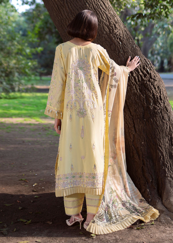 Haseens | Zuri Pret | Elvan - by Libasekhas UK - Registered Vendor of : Haseens - 100% Original Designer Dress