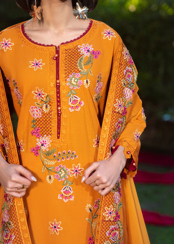 Haseens | Zuri Pret | Arzay - by Libasekhas UK - Registered Vendor of : Haseens - 100% Original Designer Dress