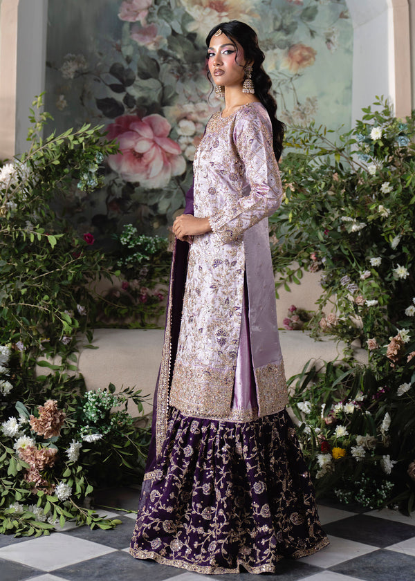 Haseens | Naira Formals | Taj - by Libasekhas UK - Registered Vendor of : Haseens - 100% Original Designer Dress
