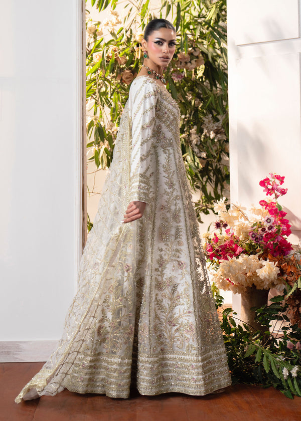 Haseens | Naira Formals | Roshni - by Libasekhas UK - Registered Vendor of : Haseens - 100% Original Designer Dress
