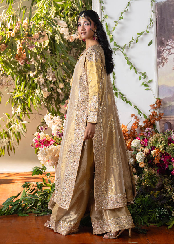 Haseens | Naira Formals | Sakeena - by Libasekhas UK - Registered Vendor of : Haseens - 100% Original Designer Dress