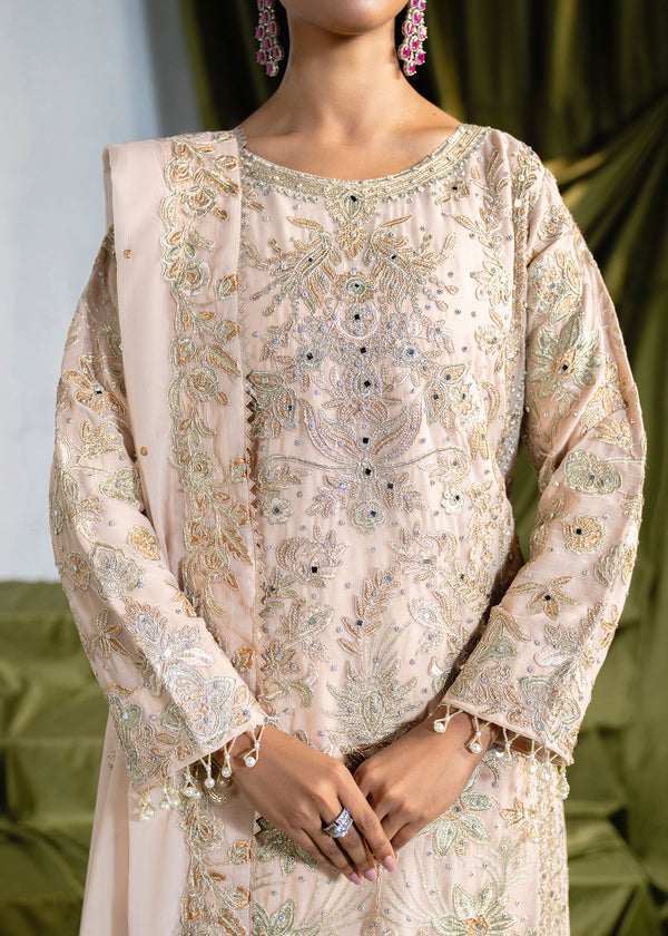 Haseens | Naira Formals | Gul Bano - by Libasekhas UK - Registered Vendor of : Haseens - 100% Original Designer Dress