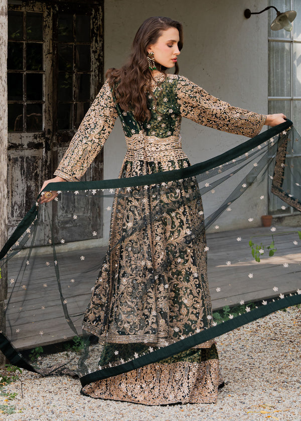 Haseens | Ayra Formals | Malaak - by Libasekhas UK - Registered Vendor of : Haseens - 100% Original Designer Dress