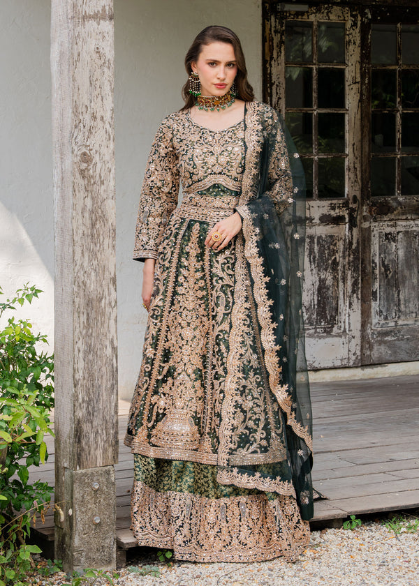 Haseens | Ayra Formals | Malaak - by Libasekhas UK - Registered Vendor of : Haseens - 100% Original Designer Dress