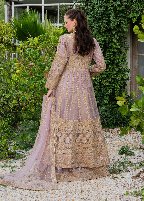 Haseens | Ayra Formals | Samaraa - by Libasekhas UK - Registered Vendor of : Haseens - 100% Original Designer Dress