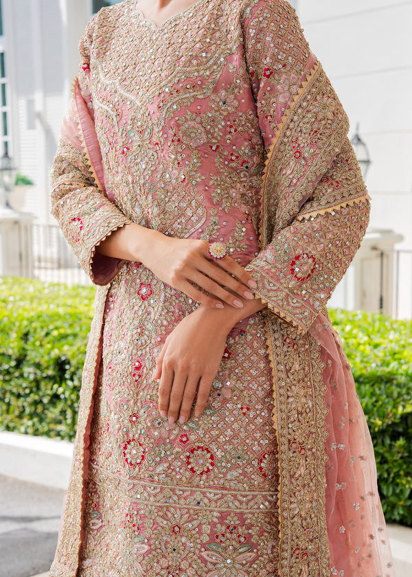 Haseens | Ayra Formals | Fadeela - by Libasekhas UK - Registered Vendor of : Haseens - 100% Original Designer Dress