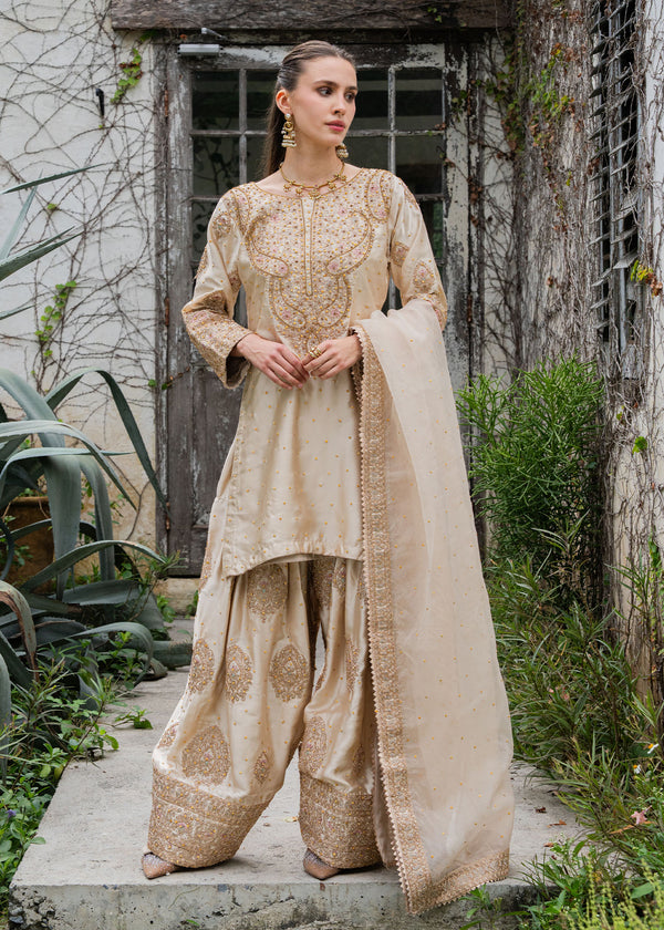 Haseens | Ayra Formals | Noorey - by Libasekhas UK - Registered Vendor of : Haseens - 100% Original Designer Dress