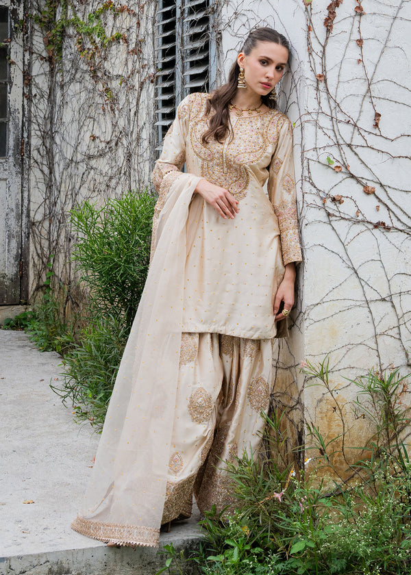 Haseens | Ayra Formals | Noorey - by Libasekhas UK - Registered Vendor of : Haseens - 100% Original Designer Dress