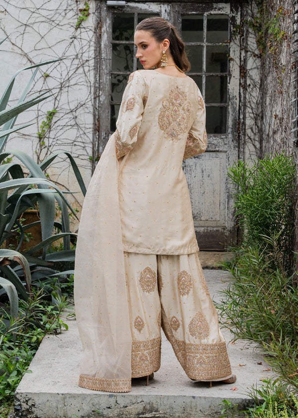 Haseens | Ayra Formals | Noorey - by Libasekhas UK - Registered Vendor of : Haseens - 100% Original Designer Dress