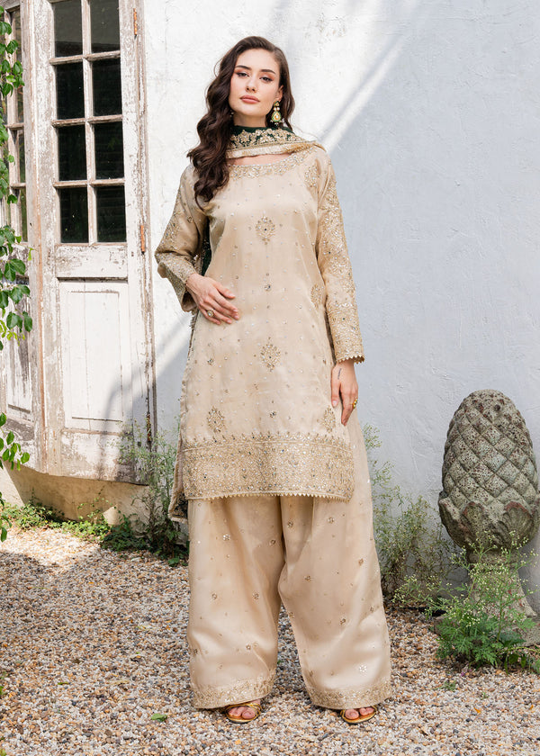 Haseens | Ayra Formals | Alizeh - by Libasekhas UK - Registered Vendor of : Haseens - 100% Original Designer Dress