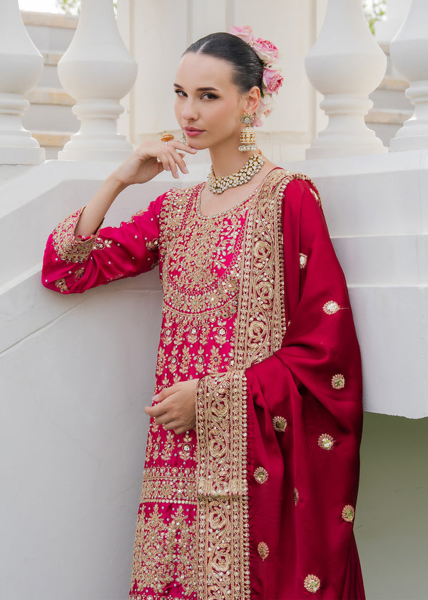 Haseens | Ayra Formals | Dilafroz - by Libasekhas UK - Registered Vendor of : Haseens - 100% Original Designer Dress