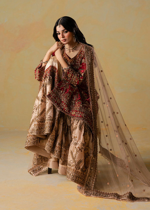 Haseens | Retaj Formals | Rameen - by Libasekhas UK - Registered Vendor of : Haseens - 100% Original Designer Dress