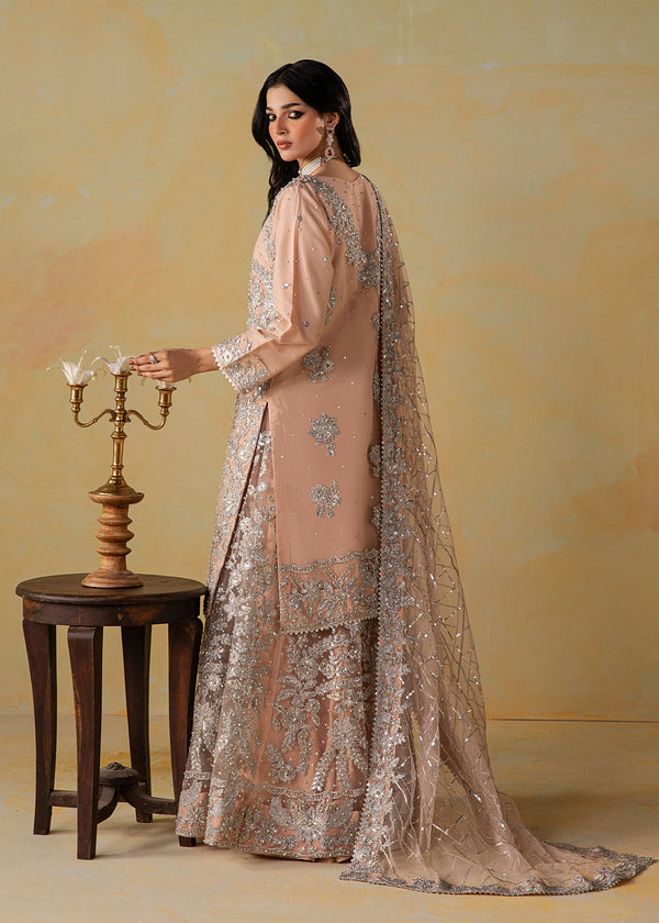 Haseens | Retaj Formals | Mirab - by Libasekhas UK - Registered Vendor of : Haseens - 100% Original Designer Dress