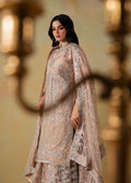 Haseens | Retaj Formals | Mirab - by Libasekhas UK - Registered Vendor of : Haseens - 100% Original Designer Dress