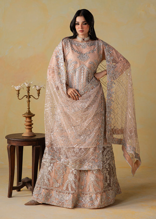 Haseens | Retaj Formals | Mirab - by Libasekhas UK - Registered Vendor of : Haseens - 100% Original Designer Dress