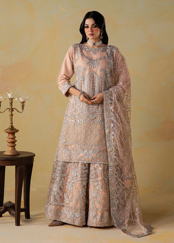 Haseens | Retaj Formals | Mirab - by Libasekhas UK - Registered Vendor of : Haseens - 100% Original Designer Dress