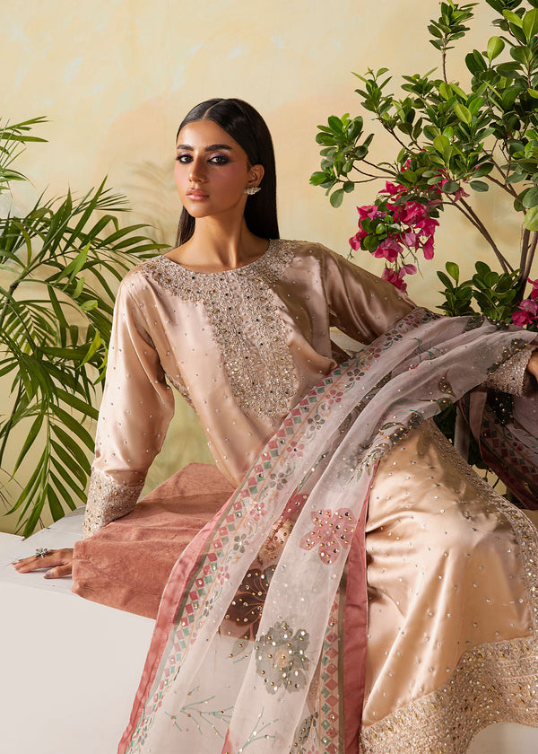 Haseens | Retaj Formals | Unaisa - by Libasekhas UK - Registered Vendor of : Haseens - 100% Original Designer Dress