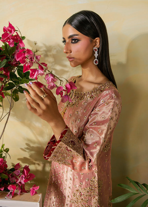 Haseens | Retaj Formals | Isra - by Libasekhas UK - Registered Vendor of : Haseens - 100% Original Designer Dress