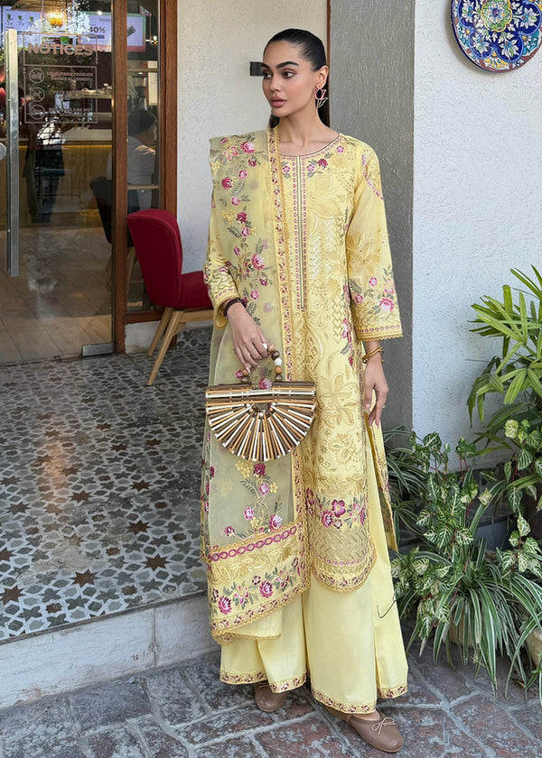 Haseens | Raha Pret | Inshara - by Libasekhas UK - Registered Vendor of : Haseens - 100% Original Designer Dress