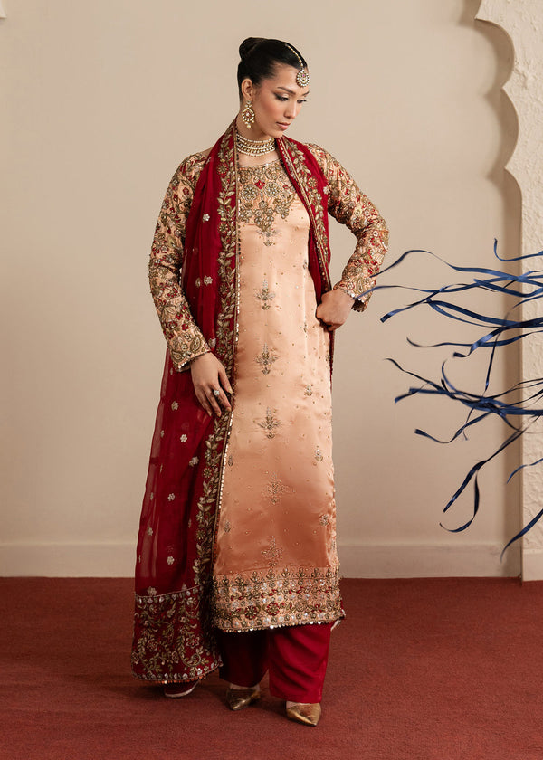 Haseens | Sakhiyan Formals | Shaan - by Libasekhas UK - Registered Vendor of : Haseens - 100% Original Designer Dress