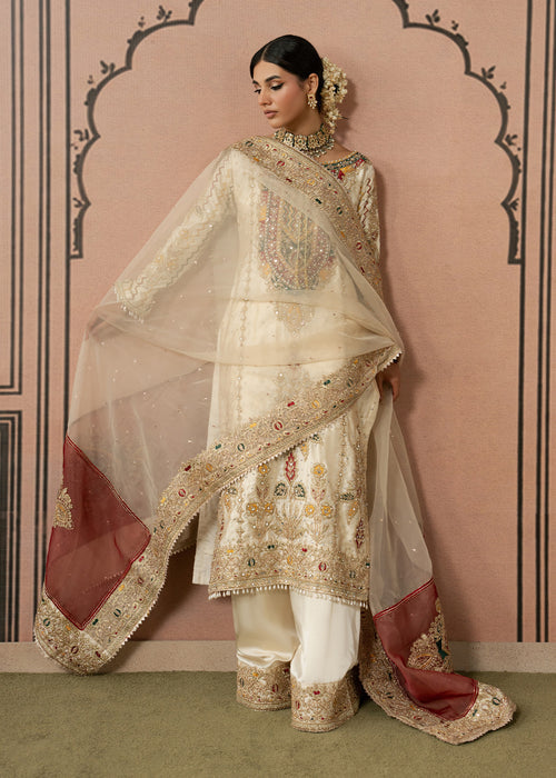 Haseens | Naqs Formals |Seema - by Libasekhas UK - Registered Vendor of : Haseens - 100% Original Designer Dress