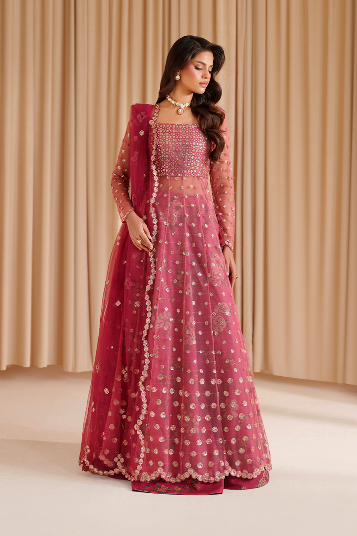 Iznik I Festive Formal I CC-72 Embroidered Net - by Libasekhas UK - Registered Vendor of : Iznik - 100% Original Designer Dress