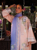 Binilyas | Suroor Eid Pret 26 | 241-A - by Libasekhas UK - Registered Vendor of : Bin Ilyas - 100% Original Designer Dress