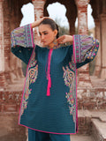Binilyas | Suroor Eid Pret 26 | 246-A - by Libasekhas UK - Registered Vendor of : Bin Ilyas - 100% Original Designer Dress