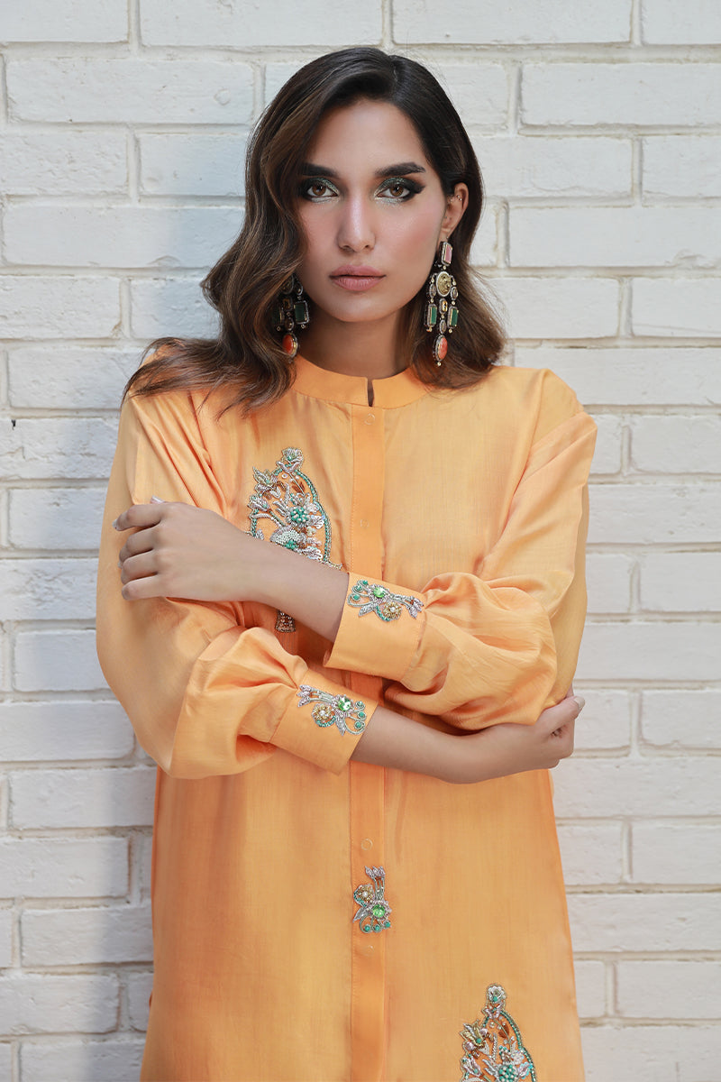 Wardha Saleem | Luxury Pret Traditional Wear | ARZA - by - Libasekhas UK - Registered Vendor of : Wardha Saleem - 100% Original Designer Dresss