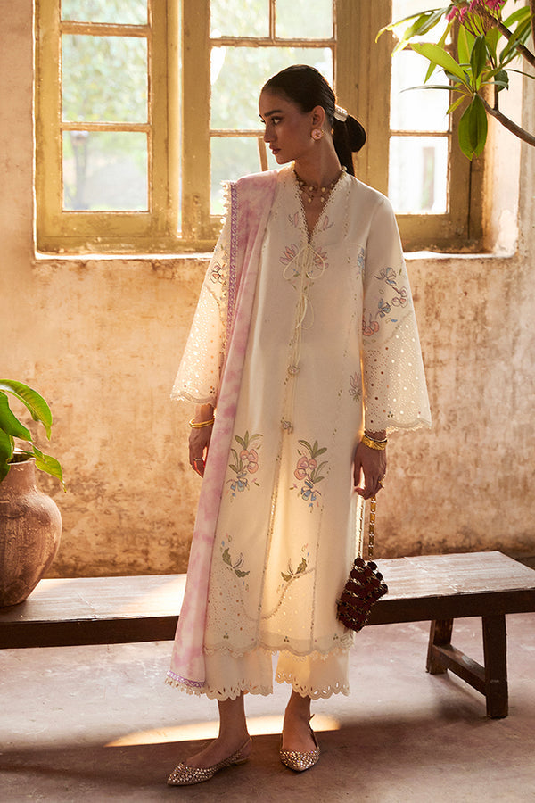 Suffuse | Basic Summer 25 | ZEYRA - by Libasekhas UK - Registered Vendor of : Suffuse - 100% Original Designer Dress
