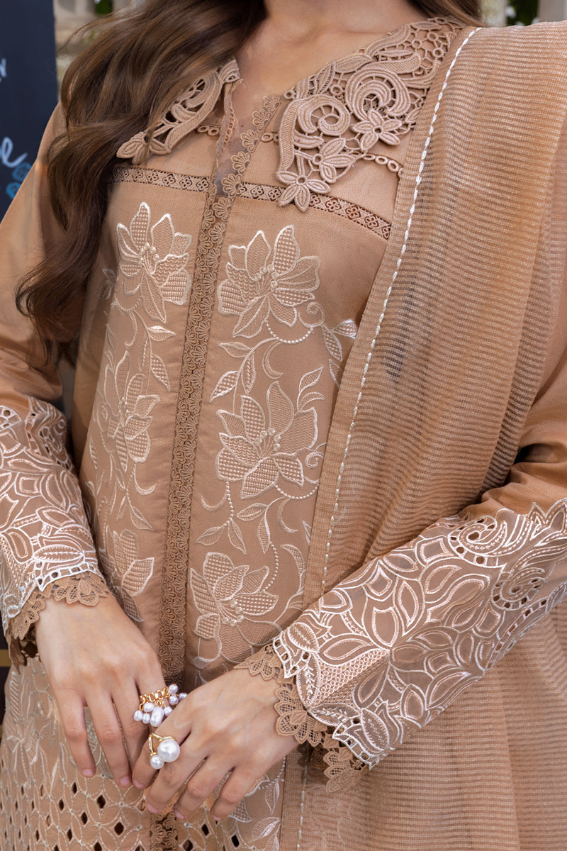 Rangrasiya | Carnation Luxury Festive Edit 25 | Kaia - by - Libasekhas UK - Registered Vendor of : Rangrasiya - 100% Original Designer Dresss