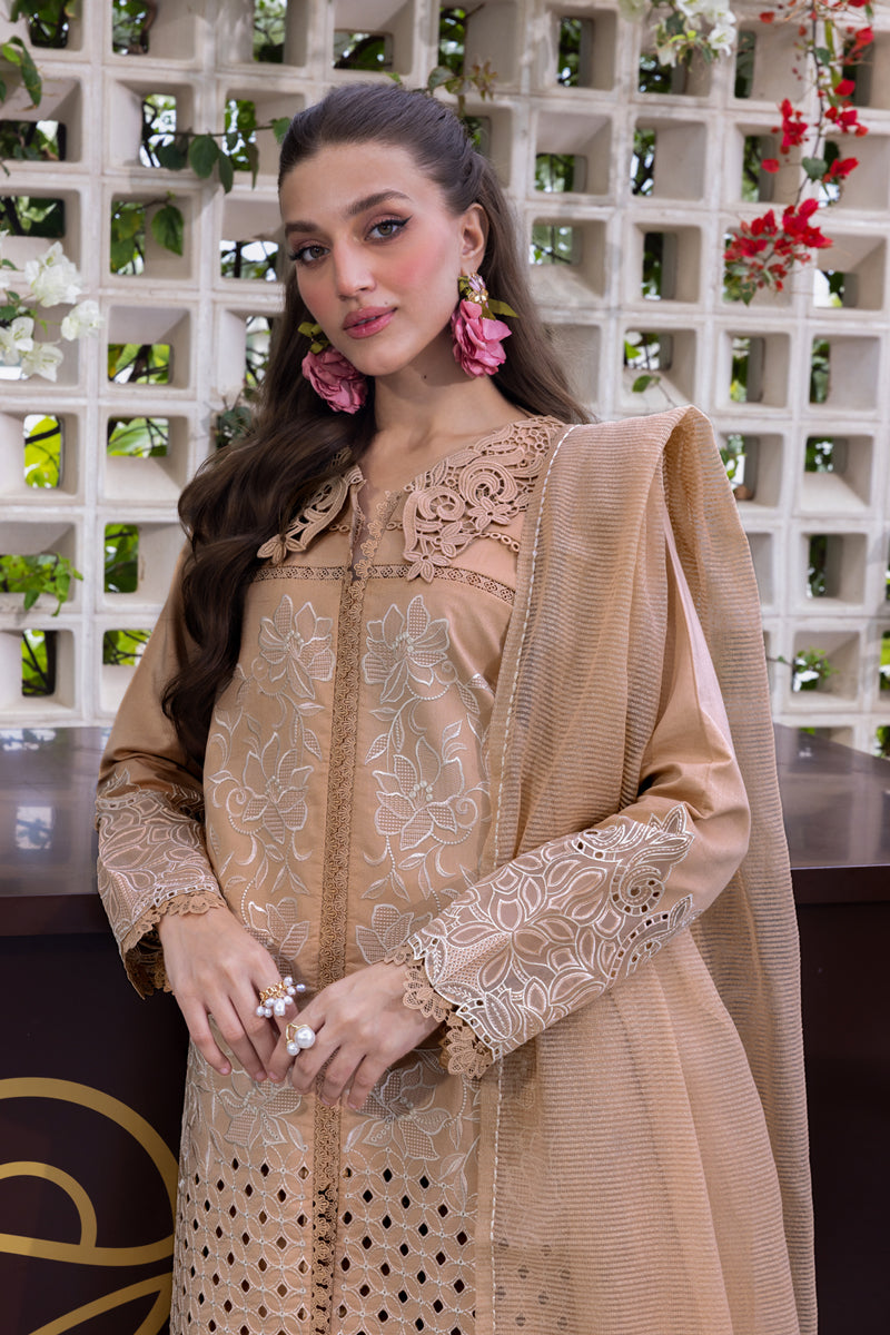 Rangrasiya | Carnation Luxury Festive Edit 25 | Kaia - by - Libasekhas UK - Registered Vendor of : Rangrasiya - 100% Original Designer Dresss