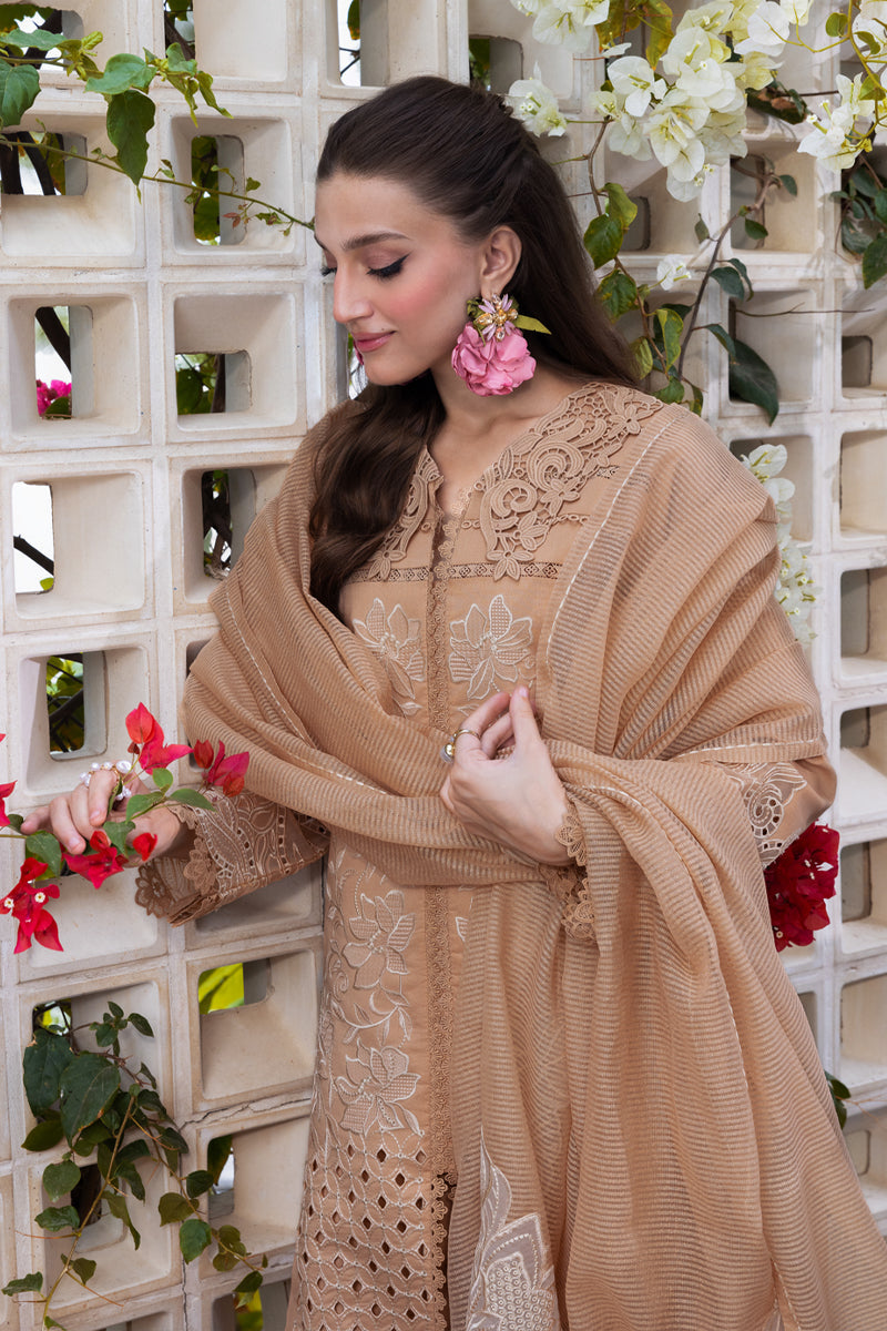 Rangrasiya | Carnation Luxury Festive Edit 25 | Kaia - by - Libasekhas UK - Registered Vendor of : Rangrasiya - 100% Original Designer Dresss