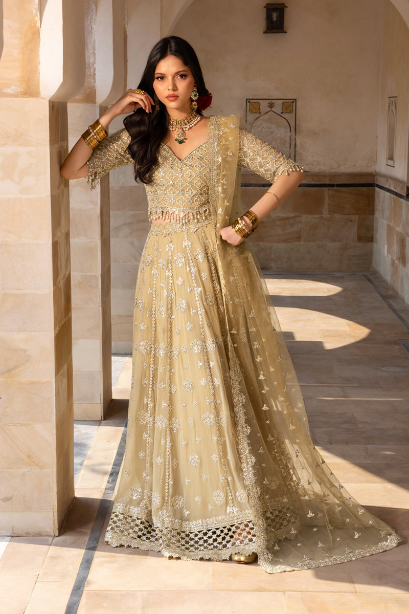 Rangrasiya | Chiffon Formals | Zaiena - by Libasekhas UK - Registered Vendor of : Rangrasiya - 100% Original Designer Dress