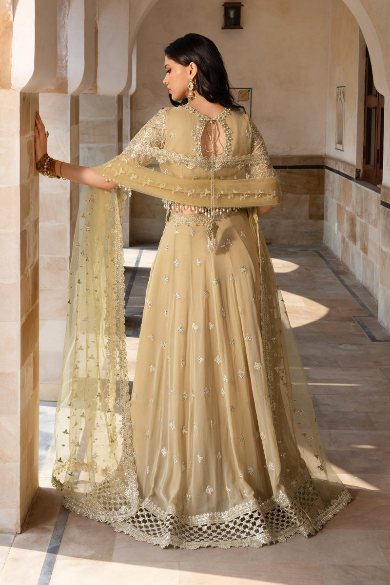 Rangrasiya | Chiffon Formals | Zaiena - by Libasekhas UK - Registered Vendor of : Rangrasiya - 100% Original Designer Dress