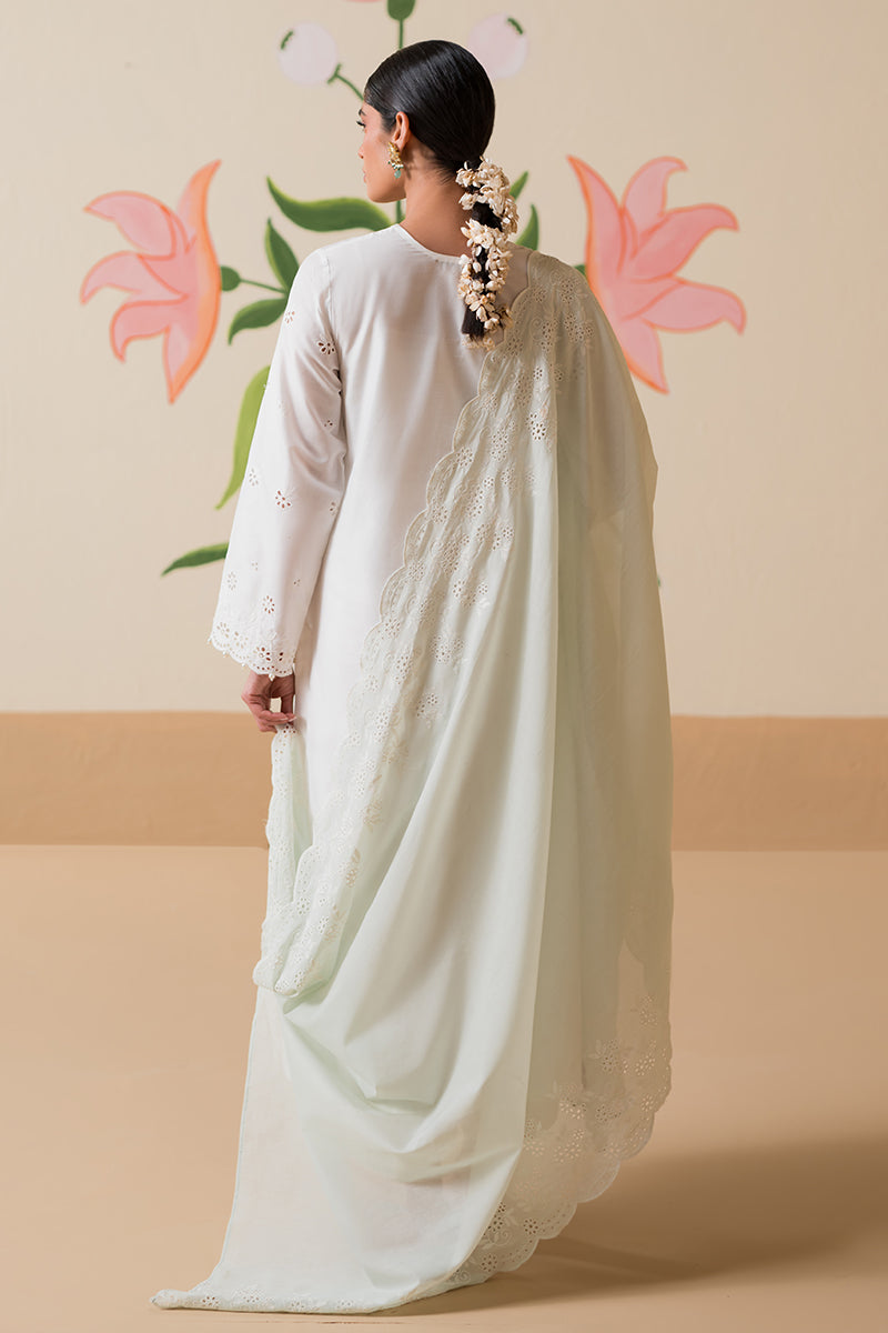 Cross Stitch | Chikankari Lawn Collection | P-06 - by - Libasekhas UK - Registered Vendor of : Cross Stitch - 100% Original Designer Dresss