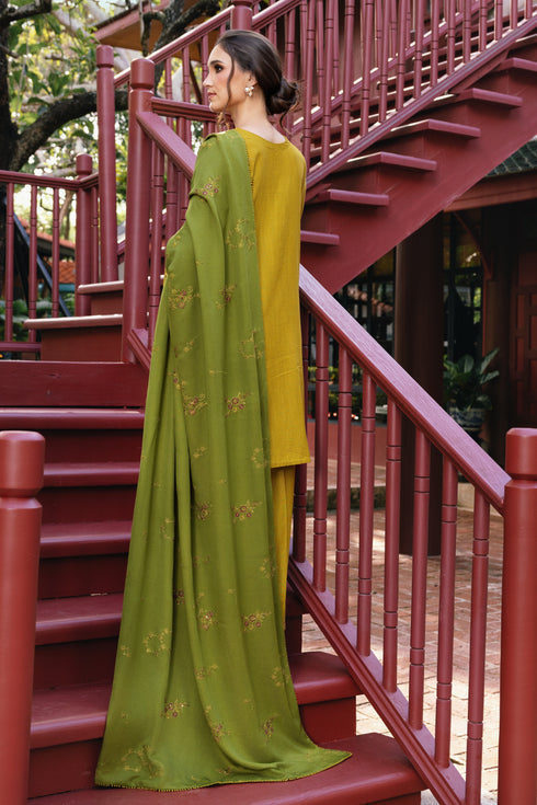 Naqshi | Nuri Khaddar Velvet Marina | Shanara - by Libasekhas UK - Registered Vendor of : Naqshi - 100% Original Designer Dress