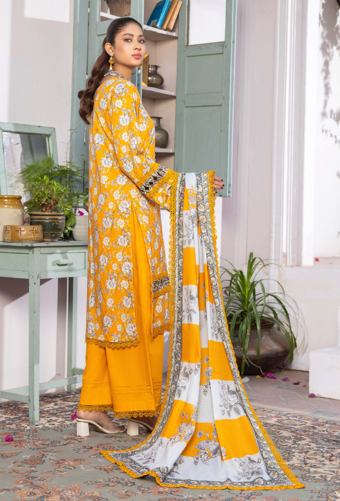 Humdum | Rang e Noor SS 24 | D04 - by - Libasekhas UK - Registered Vendor of : HumDum - 100% Original Designer Dresss