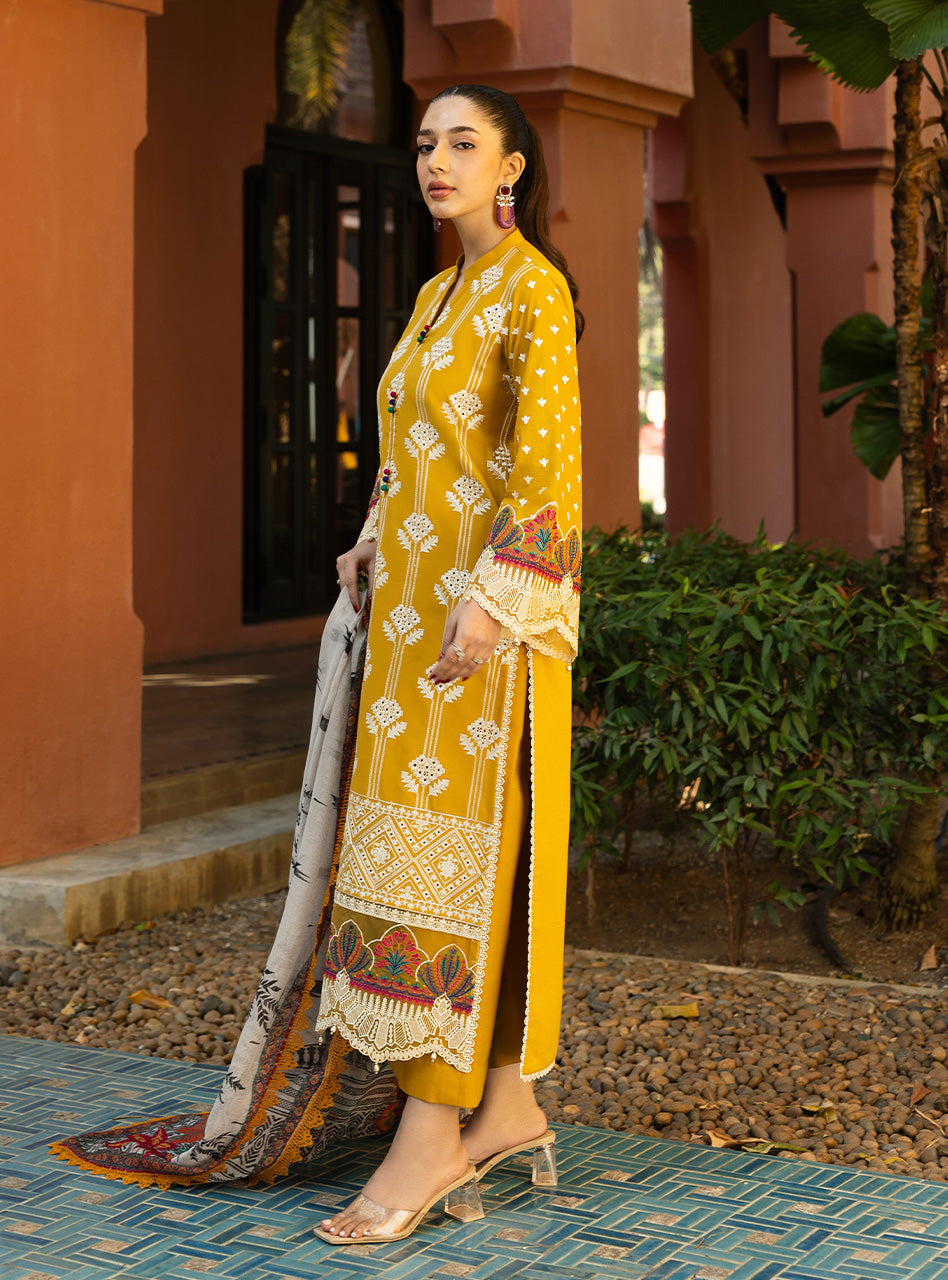 Zainab Chottani | Chikankari 25 | Aanya - 4A - by - Libasekhas UK - Registered Vendor of : Zainab Chottani - 100% Original Designer Dresss